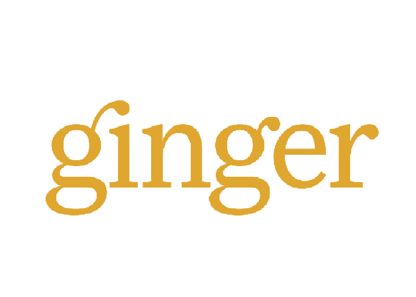 SOC 2_Client_-Ginger