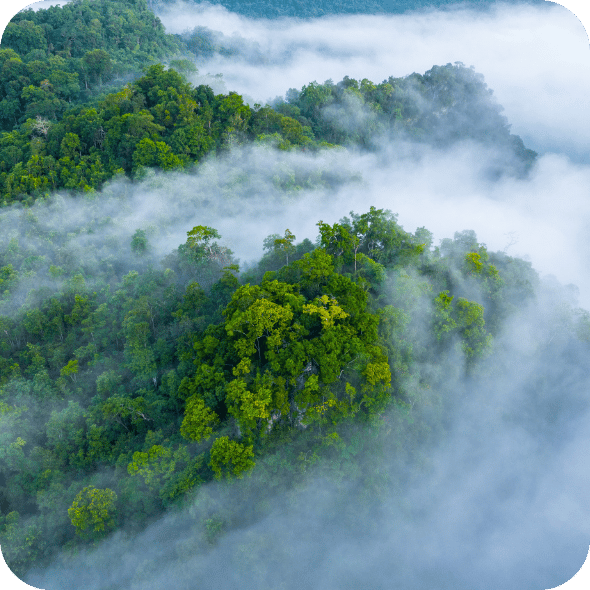 Untitled design (19)